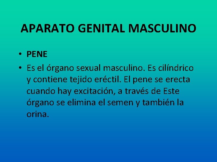 APARATO GENITAL MASCULINO • PENE • Es el órgano sexual masculino. Es cilíndrico y
