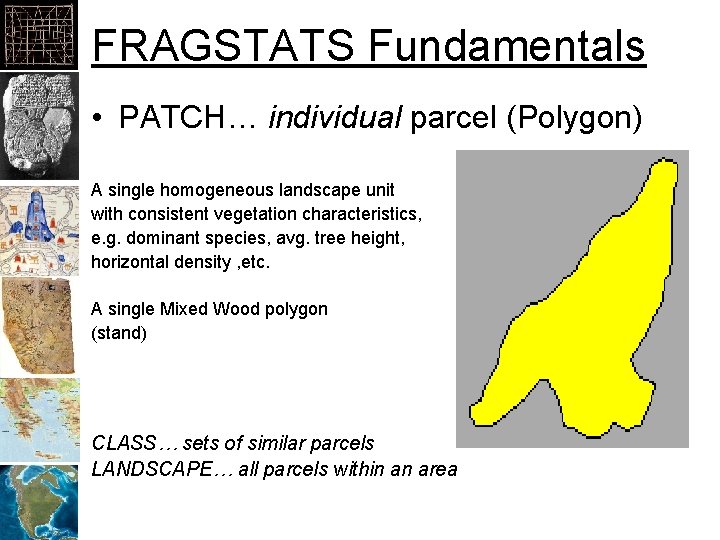 FRAGSTATS Fundamentals • PATCH… individual parcel (Polygon) A single homogeneous landscape unit with consistent
