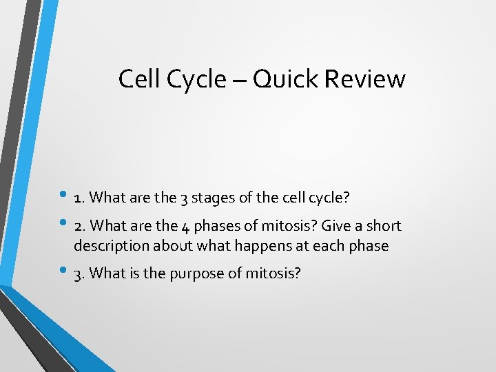 Cell Cycle Quick Review 1 What are the