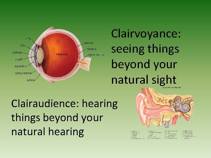 Clairvoyance: seeing things beyond your natural sight Clairaudience: hearing things beyond your natural hearing
