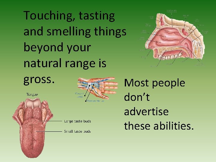 Touching, tasting and smelling things beyond your natural range is gross. Most people don’t