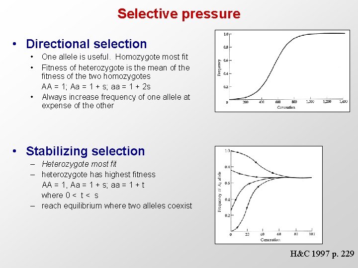 Selective pressure • Directional selection • • • One allele is useful. Homozygote most