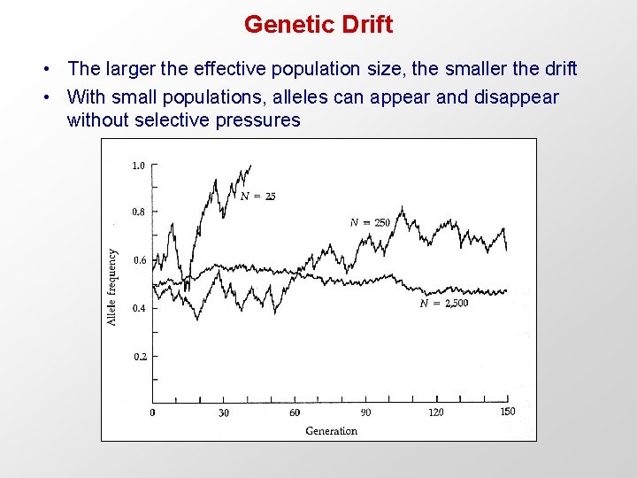Genetic Drift • The larger the effective population size, the smaller the drift •