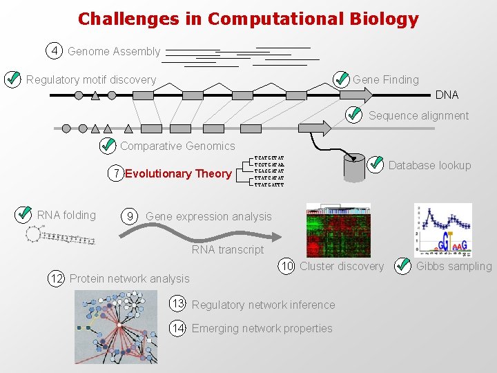 Challenges in Computational Biology 4 Genome Assembly Regulatory motif discovery Gene Finding DNA Sequence