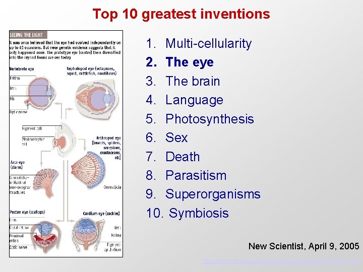 Top 10 greatest inventions 1. Multi-cellularity 2. The eye 3. The brain 4. Language