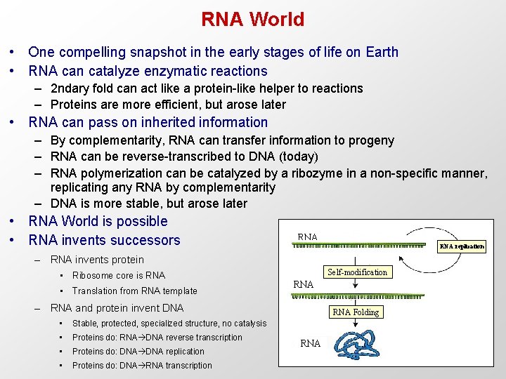 RNA World • One compelling snapshot in the early stages of life on Earth