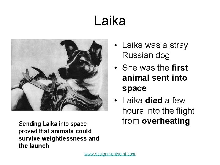 Laika Sending Laika into space proved that animals could survive weightlessness and the launch