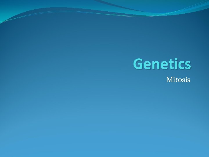 Genetics Mitosis 