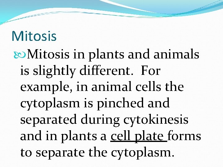 Mitosis in plants and animals is slightly different. For example, in animal cells the