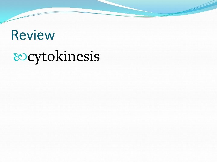 Review cytokinesis 