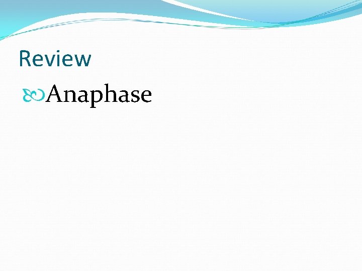 Review Anaphase Review Anaphase