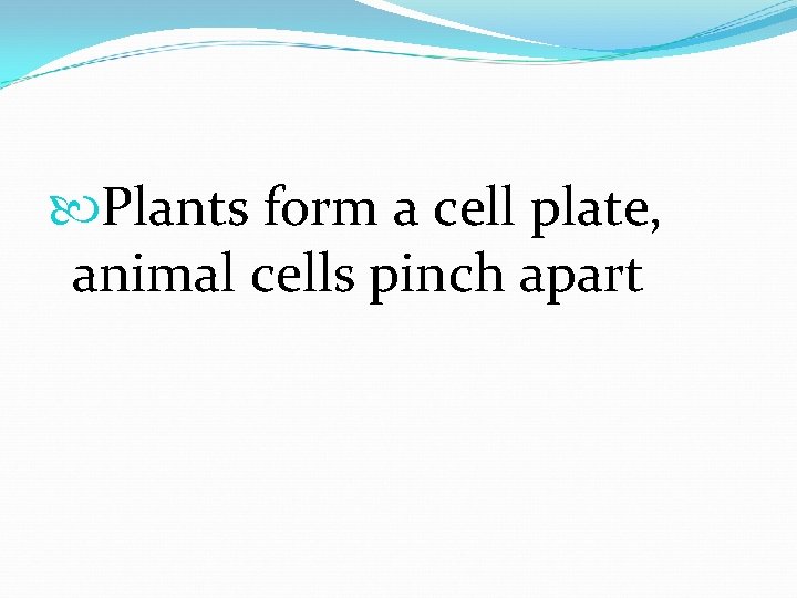  Plants form a cell plate, animal cells pinch apart 