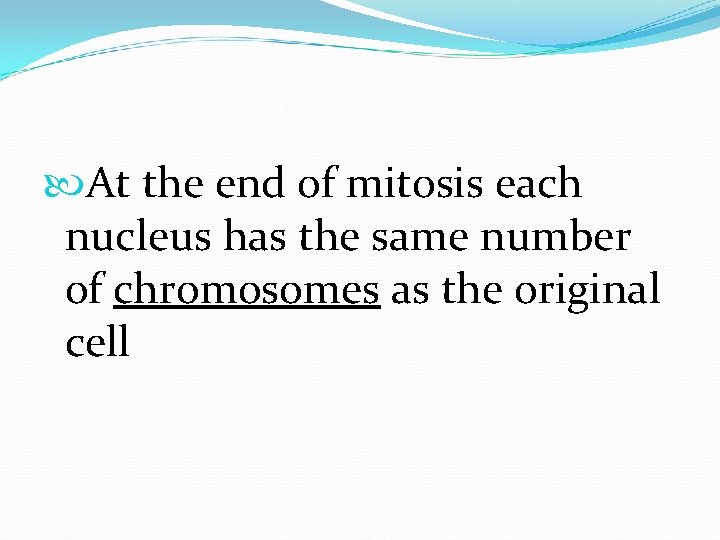  At the end of mitosis each nucleus has the same number of chromosomes