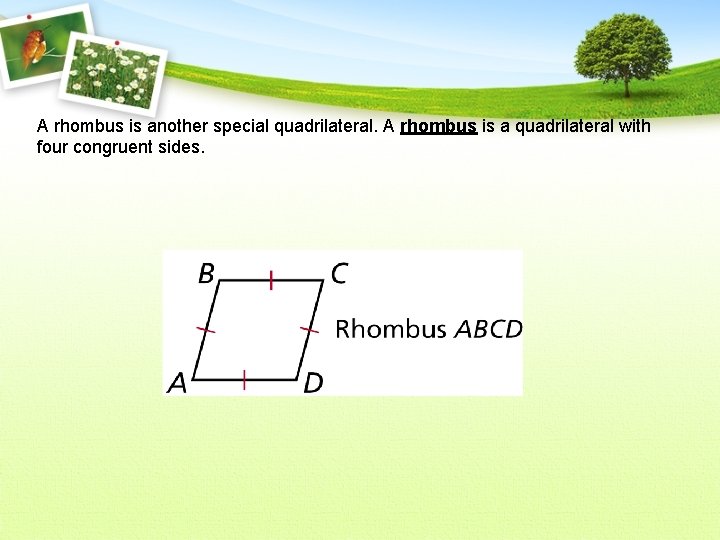 A rhombus is another special quadrilateral. A rhombus is a quadrilateral with four congruent