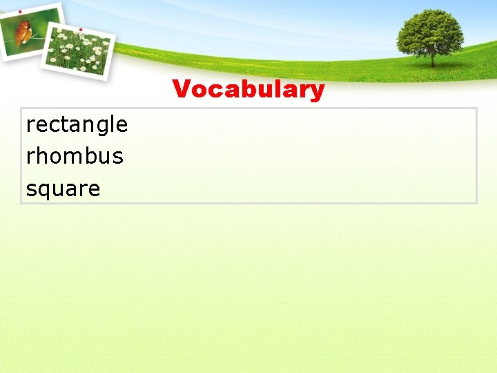 Vocabulary rectangle rhombus square 
