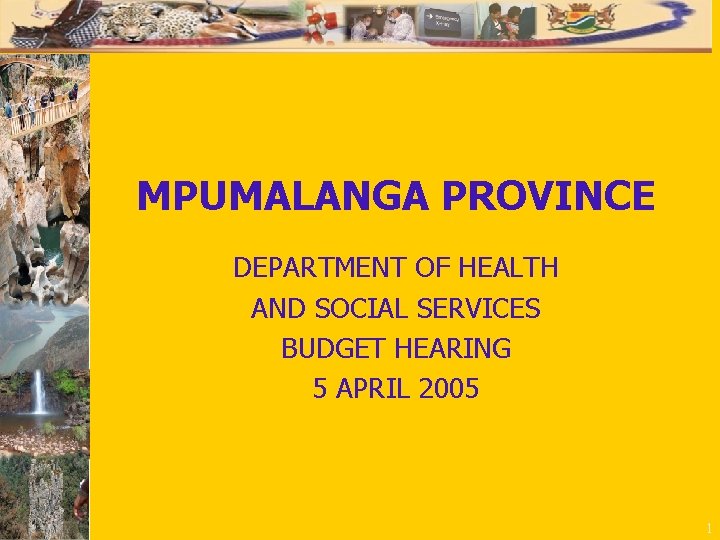 MPUMALANGA PROVINCE DEPARTMENT OF HEALTH AND SOCIAL SERVICES BUDGET HEARING 5 APRIL 2005 1