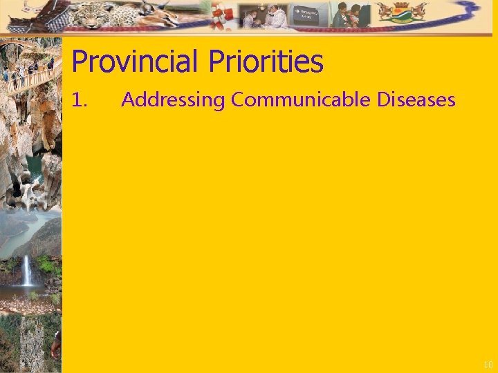 Provincial Priorities 1. Addressing Communicable Diseases 10 