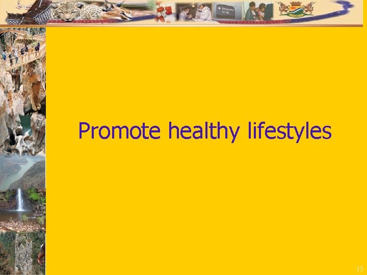 Promote healthy lifestyles 15 