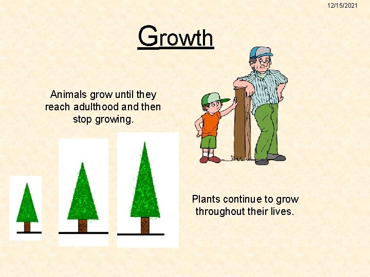 12/15/2021 Growth Animals grow until they reach adulthood and then stop growing. Plants continue