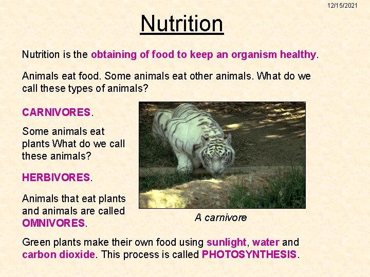 12/15/2021 Nutrition is the obtaining of food to keep an organism healthy. Animals eat