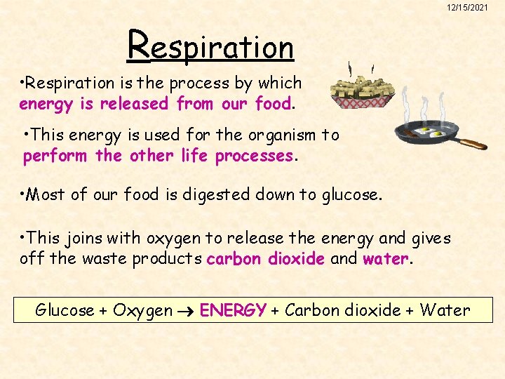 12/15/2021 Respiration • Respiration is the process by which energy is released from our