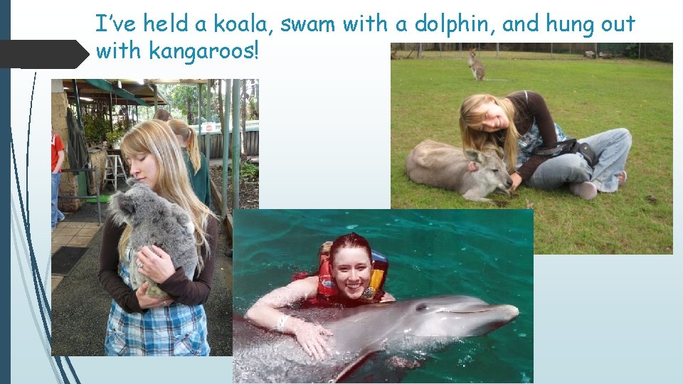 I’ve held a koala, swam with a dolphin, and hung out with kangaroos! 