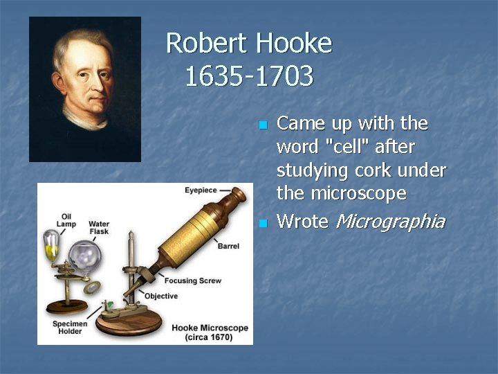 Robert Hooke 1635 -1703 n n Came up with the word "cell" after studying