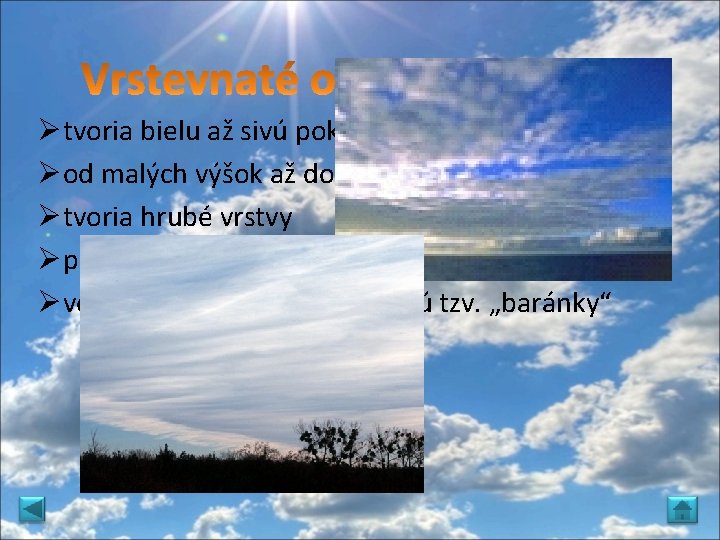 Øtvoria bielu až sivú pokrývku Øod malých výšok až do 8 km Øtvoria hrubé