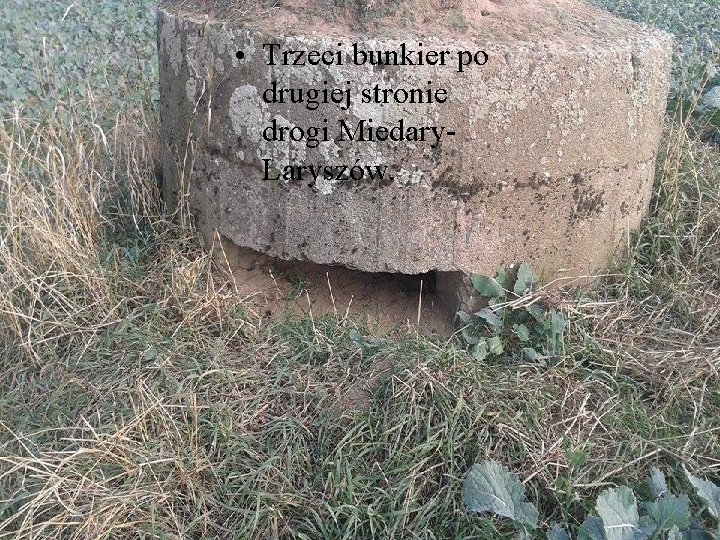  • Trzeci bunkier po drugiej stronie drogi Miedary. Laryszów. 