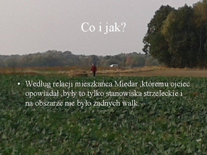 Co i jak? • Według relacji mieszkańca Miedar , któremu ojciec opowiadał , były