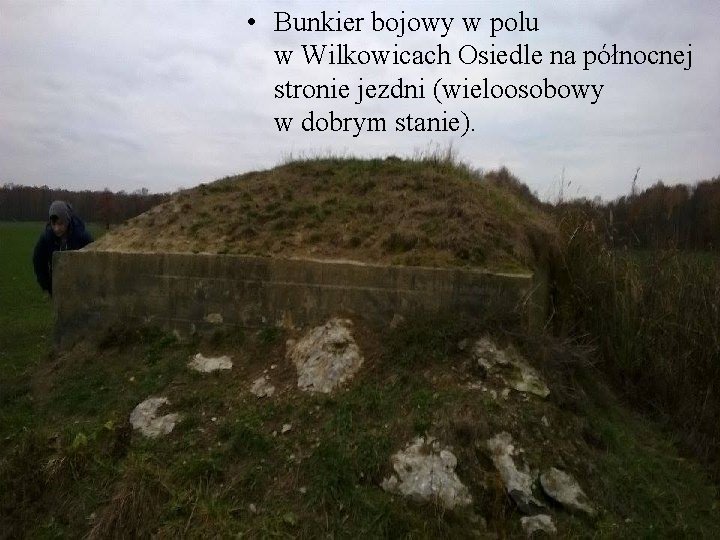  • Bunkier bojowy w polu w Wilkowicach Osiedle na północnej stronie jezdni (wieloosobowy