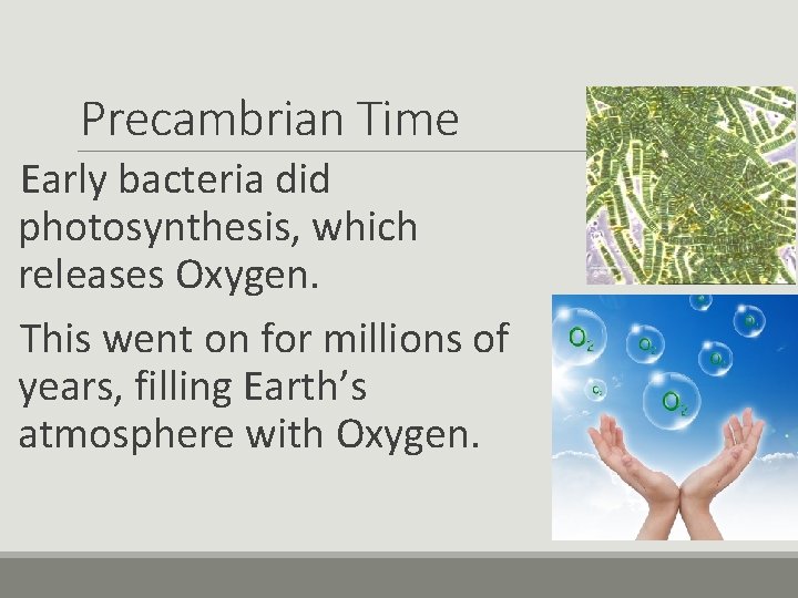 Precambrian Time Early bacteria did photosynthesis, which releases Oxygen. This went on for millions