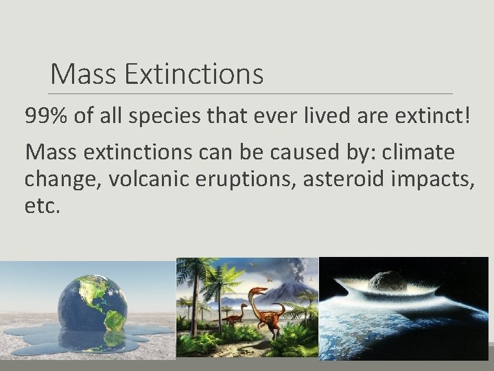 Mass Extinctions 99% of all species that ever lived are extinct! Mass extinctions can