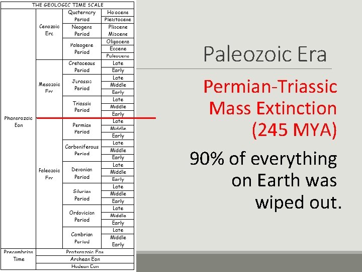 Paleozoic Era Permian-Triassic Mass Extinction (245 MYA) 90% of everything on Earth was wiped