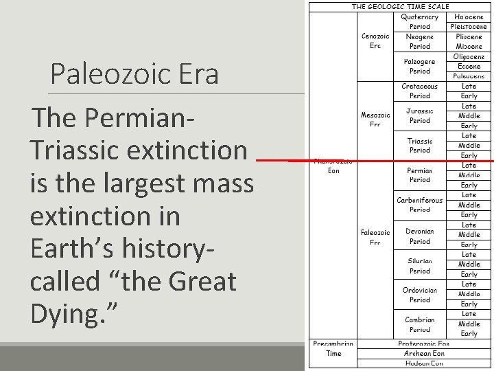 Paleozoic Era The Permian. Triassic extinction is the largest mass extinction in Earth’s historycalled