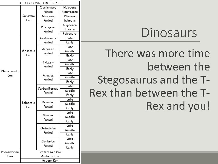 Dinosaurs There was more time between the Stegosaurus and the TRex than between the