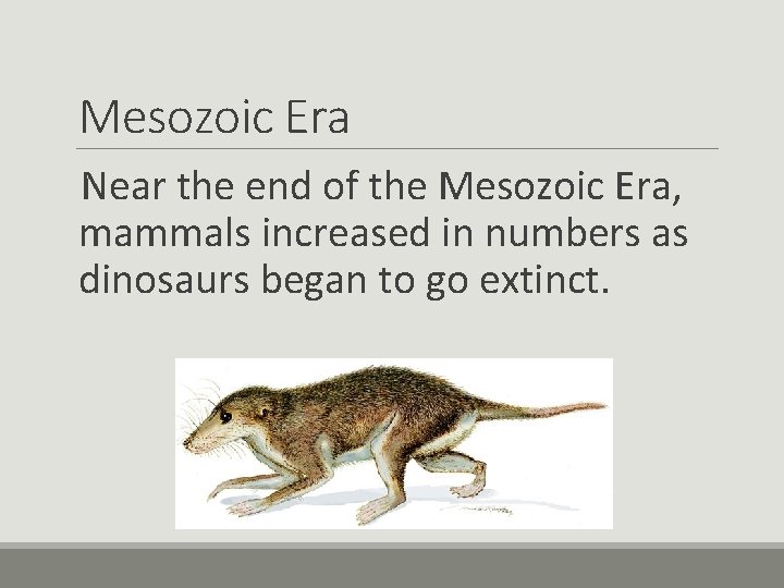 Mesozoic Era Near the end of the Mesozoic Era, mammals increased in numbers as