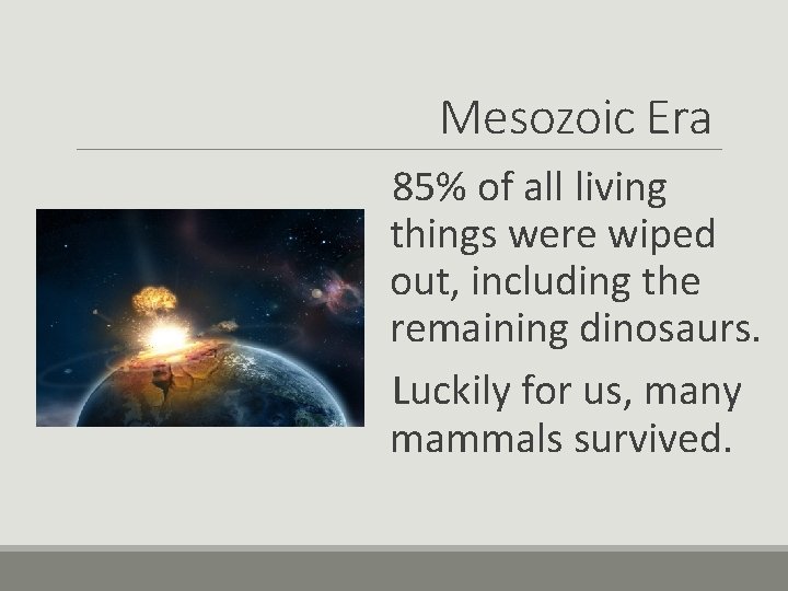 Mesozoic Era 85% of all living things were wiped out, including the remaining dinosaurs.