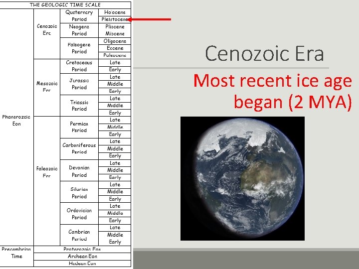 Cenozoic Era Most recent ice age began (2 MYA) 