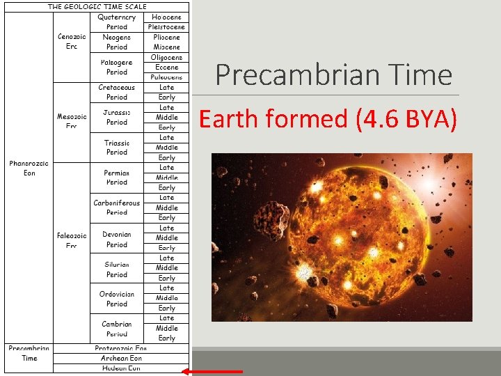 Precambrian Time Earth formed (4. 6 BYA) 