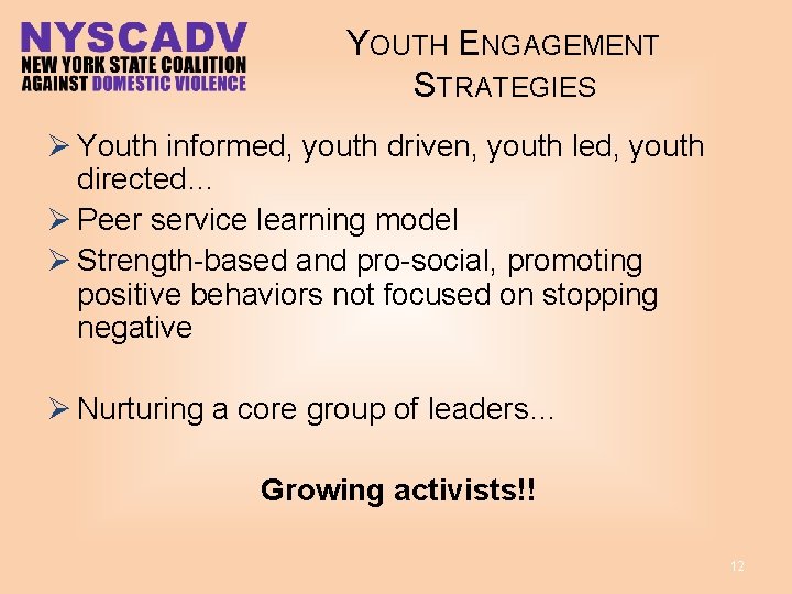 YOUTH ENGAGEMENT STRATEGIES Ø Youth informed, youth driven, youth led, youth directed… Ø Peer