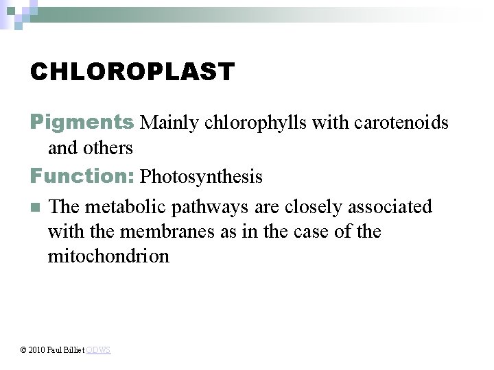 CHLOROPLAST Pigments Mainly chlorophylls with carotenoids and others Function: Photosynthesis n The metabolic pathways