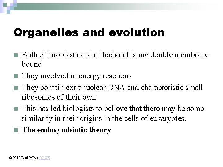 Organelles and evolution n n Both chloroplasts and mitochondria are double membrane bound They