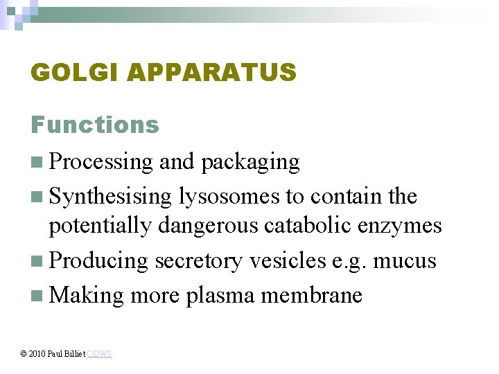 GOLGI APPARATUS Functions n Processing and packaging n Synthesising lysosomes to contain the potentially