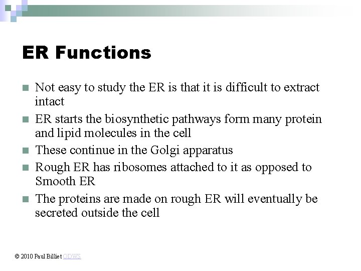 ER Functions n n n Not easy to study the ER is that it