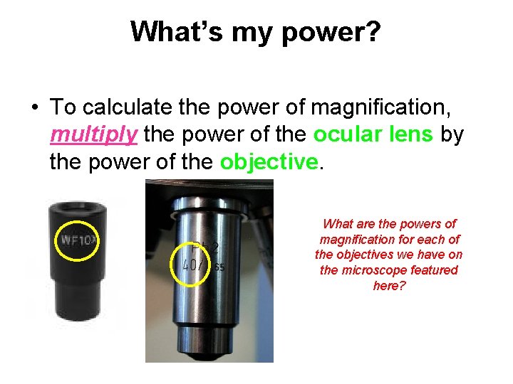 What’s my power? • To calculate the power of magnification, multiply the power of