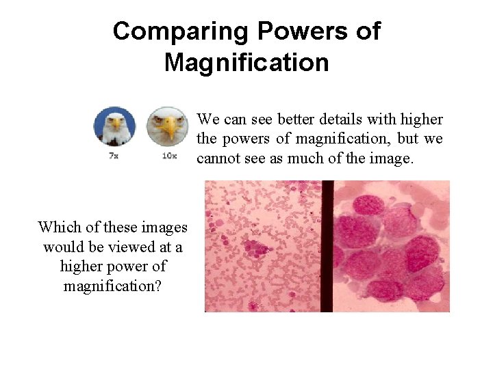 Comparing Powers of Magnification We can see better details with higher the powers of