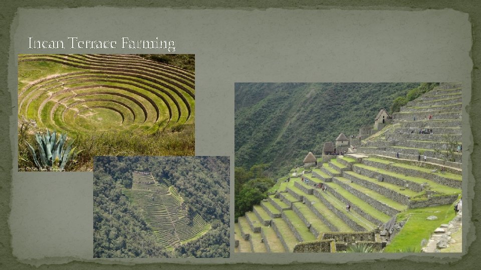 Incan Terrace Farming 