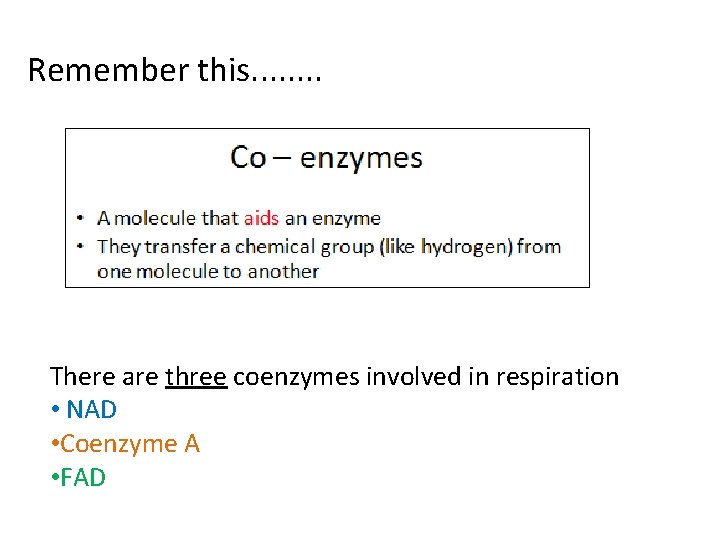 Remember this. . . . There are three coenzymes involved in respiration • NAD