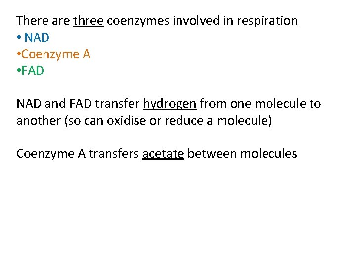 There are three coenzymes involved in respiration • NAD • Coenzyme A • FAD